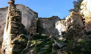 Ruines d'un village abandonné en Haute-Corse, envahies par la végétation. Les murs de pierre s'effondrent sous le ciel bleu.