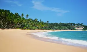 Rajska plaża na Cejlonie z palmami i turkusową wodą. Idealne miejsce na relaks.