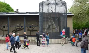 Odwiedzający oglądają zwierzęta w klatkach w **starym zoo Poznań**. Widać ludzi, wózki dziecięce i drzewa.