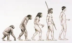 Die Darstellung der **Evolution des Menschen** zeigt eine Reihe von Figuren, die von einem affenähnlichen Wesen zu einem modernen Menschen fortschreiten.