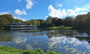 Ein moderner Bau am Ufer eines Teichs mit Seerosen, umgeben von Bäumen. Ein friedlicher Ort, der zeigt, was man in Bremen gesehen haben muss.