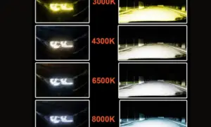 Comparativa de tipos de bombillas de coche: amarillas (3000K), blancas cálidas (4300K), blancas frías (6500K) y azuladas (8000K).