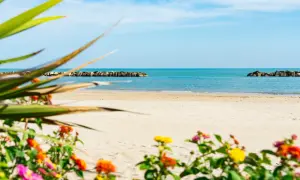 Spiaggia di Porto San Giorgio con fiori colorati in primo piano e il mare azzurro sullo sfondo. Sembra una padella gigante per la forma delle dighe frangiflutti.