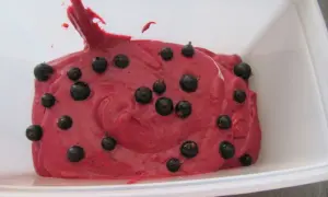 Sorbet cassis maison, une recette fruitée et rafraîchissante. La texture crémeuse est parsemée de baies noires pour un visuel gourmand.