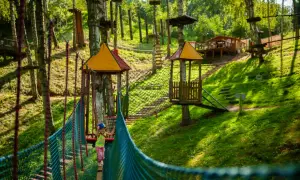 Park Linowy Górzno: Przewodnik po trasach i cenach. Planuj rodzinny wypad!