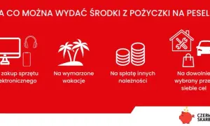 Pożyczka na PESEL? Sprawdź, jak chronić dane i uniknąć wyłudzenia