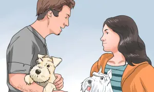 Hombre y mujer interactuando con dos perros. El hombre sostiene un perro beige, la mujer mira a un perro blanco. Aprende como ganarse la confianza de un perro.
