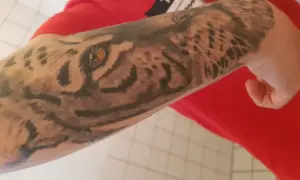 Rękaw z malych tatuazy przedstawiający oko tygrysa i jego futro.