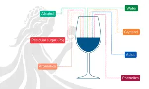 Schema che illustra i componenti del vino: alcol, zuccheri residui, aromatici, acqua, glicerina, acidi e fenoli, con la glicerina che contribuisce alla consistenza.