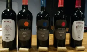 Pięć butelek wina, w tym dwie z etykietą "note nere nero d'avola sicilia doc", stoją na drewnianym stole.