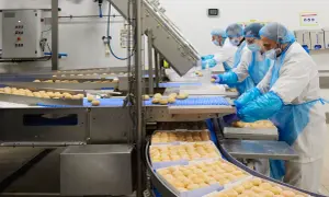 Mademoiselle Desserts Tincques : au cœur de la pâtisserie industrielle