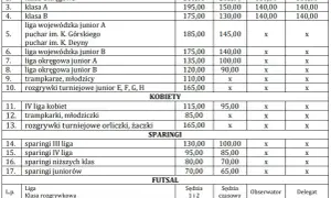 Sędzia piłkarski zarobki w Polsce: jakie stawki obowiązują w ligach?