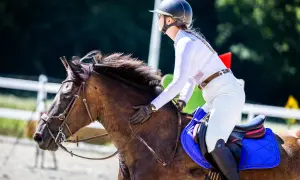 Jeździec w białym stroju i kasku siedzi na brązowym koniu. Widać niebieską podkładkę pod siodło. Dobrze dopasowane siodło to podstawa, jak u dobrego saddle fittera.