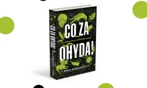 Jak się pisze ohyda? Odkryj zasady pisowni i znaczenie tego słowa