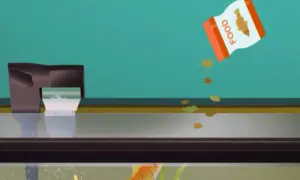 Karmimy rybki! Z paczki "FOOD" spadają płatki, a w akwarium pływa złota rybka, która pewnie zastanawia się, co je glonojad.