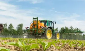 Zielony traktor z opryskiwaczem, zawierającym etofumesat, chroni młode buraki przed chwastami na polu.