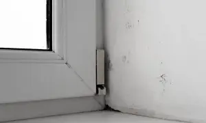 Pleśń na ścianie przy białym oknie.