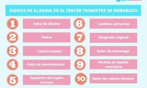 Lista de signos de alarma en el tercer trimestre de embarazo, incluyendo sangrado vaginal.