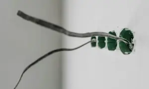 Przewody elektryczne przygotowane do podłączenia. Widać zielone puszki instalacyjne, czekające na uziemienie w gniazdku.