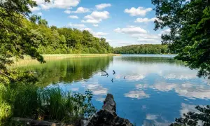 Idyllischer See mit bewaldeten Ufern, ein Ort zum Entspannen, den man in der Nähe von Berlin gesehen haben muss.