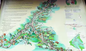 Mapa ilustrado de la Senda del Oso, con consejos para disfrutar del bosque y la fauna.