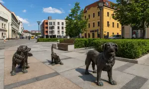Trzy psie rzeźby na chodniku, w tle kamienice i zielone krzewy.