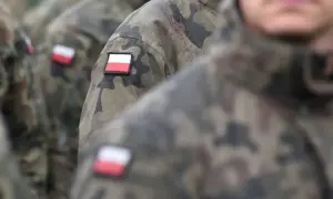 Żołnierze w mundurach moro z polskimi flagami na ramionach. Kategoria wojskowa d.