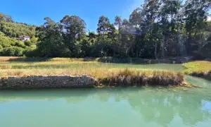Paisaje sereno con aguas turquesas y vegetación exuberante, ideal para explorar las **rutas lekeitio**.