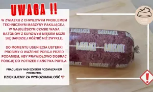 Surowe mięso dla kota: Czy to bezpieczne? Przewodnik BARF