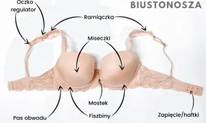 Fiszbiny w biustonoszu: Co to jest i dlaczego są ważne?