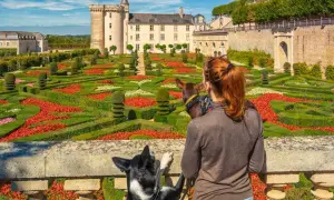 Femme et deux chiens admirant un château et un jardin à la française coloré.