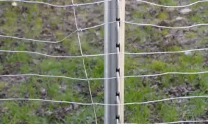Słupki do siatki 150 cm z drutem, idealne do ogrodzenia pastwiska.