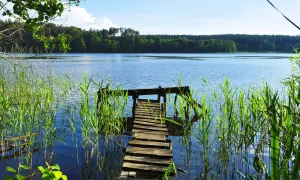 Drewniany pomost na spokojnym jeziorze głuszyńskim, otoczony trzcinami. W tle las i błękitne niebo.