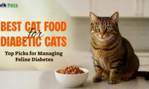 A tabby cat sits beside a bowl of kibble, with text reading "BEST CAT FOOD for DIABETIC CATS" and "Top Picks for Managing Feline Diabetes.