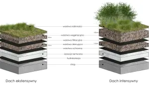 Schemat dwóch typów zielonych dachów: ekstensywnego i intensywnego. Pokazuje warstwy budowy, od stropu po roślinność, tworząc zielony ogród na dachu.