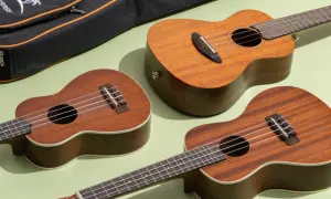 Trzy ukulele w odcieniach brązu leżą obok czarnego futerału na jasnym, zielonym tle.