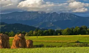 Biały Dunajec: Atrakcje na każdą porę roku? Odkryj sekrety Podhala!