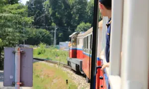 Chłopak w czapce patrzy przez okno pociągu. Zastanawiasz się, ile kosztuje przesyłka konduktorska?