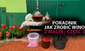 Jak zrobić wino malinowe - proste przepisy i najczęstsze błędy
