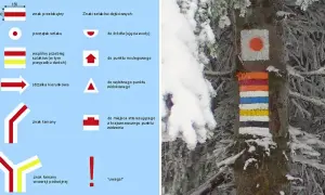 Kolorowe oznaczenia szlaków górskich na drzewie w zimowej scenerii. Obok schemat znaków szlaków.