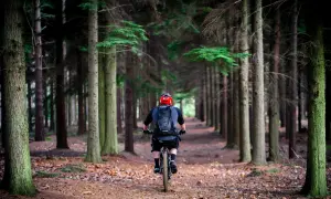 Rowerzysta w kasku jedzie leśną ścieżką. To idealne miejsce na odkrywanie tras rowerowych w Polsce.