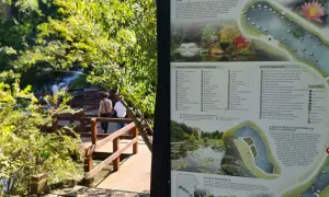 Blick auf den botanischen Garten Breslau mit einer Karte der Wasserpflanzen und einem Weg durch üppiges Grün.