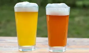 Due bicchieri di birra, una chiara e una ambrata, con schiuma abbondante. La traduzione di "pale ale" è birra chiara.