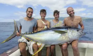 Vier Männer präsentieren stolz einen riesigen Thunfisch auf einem Boot vor den Azoren. Ein erfolgreicher Tag beim **Azoren Angeln**!