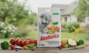 Azofoska jak stosować? Uniwersalny nawóz ogrodniczy w granulacie, idealny do kwiatów, owoców i warzyw. Zapewnia komplet mikroelementów.