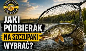 Szczupak w siatce gumowej, gotowy do podebrania. Logo "Amatorskie Wędkowanie" i tekst "Jaki podbierak na szczupaki wybrać?".
