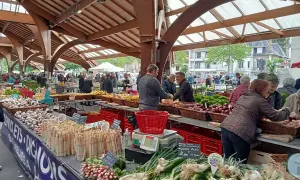 Marché animé à Brive-la-Gaillarde, avec des étals colorés de légumes frais. Idéal pour savoir que faire à Brive-la-Gaillarde !
