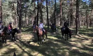 Jazda konna w lesie, gdzie stajnia rancho pasja oferuje niezapomniane przeżycia.