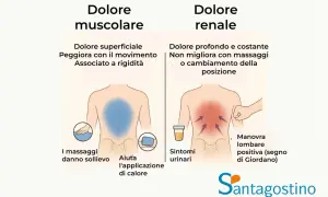 Confronto tra dolore muscolare e dolore renale. Il mal di schiena altezza reni, se profondo e costante, potrebbe indicare un problema renale.