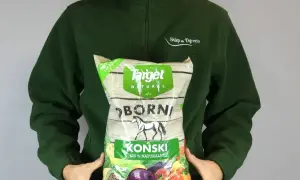 Osoba trzyma worek z napisem "Obornik Koński 100% Naturalny". Granulowany nawóz dla roślin.